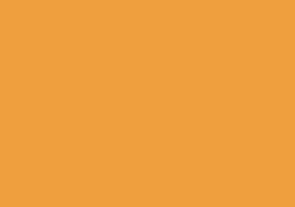 FLASHE BRILLIANT ORANGE PERM 125ML