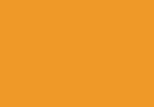 FLASHE ORANGE 125ML
