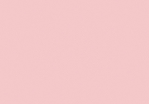 FLASHE VENETIAN PINK 125ML