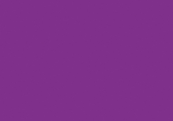 FLASHE VIOLET  125ML