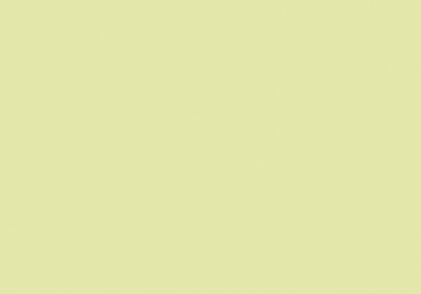 FLASHE LIME GREEN 125ML