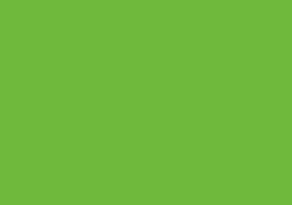 FLASHE SPRING GREEN 125ML