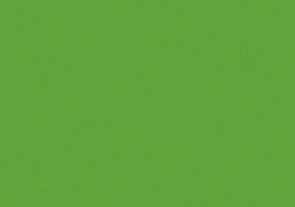 FLASHE BRILLIANT GREEN 125ML