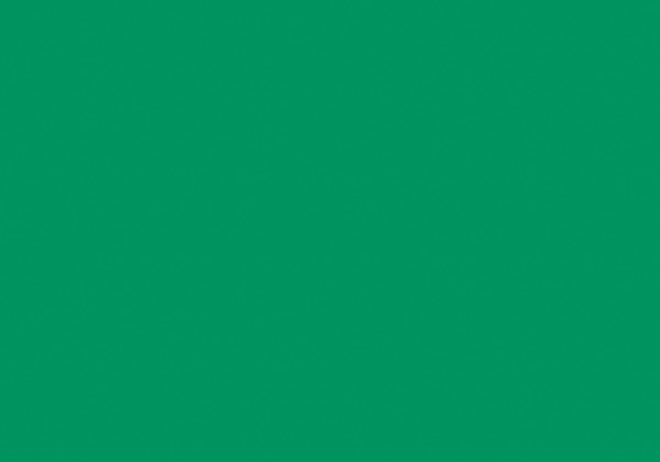 FLASHE LIGHT GREEN 125ML