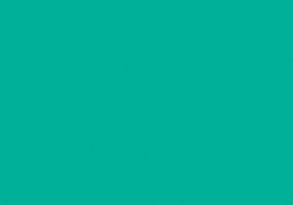 FLASHE VERONESE GREEN SHADE 125ML