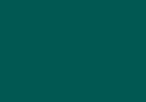 FLASHE VIRIDIAN HUE 125ML