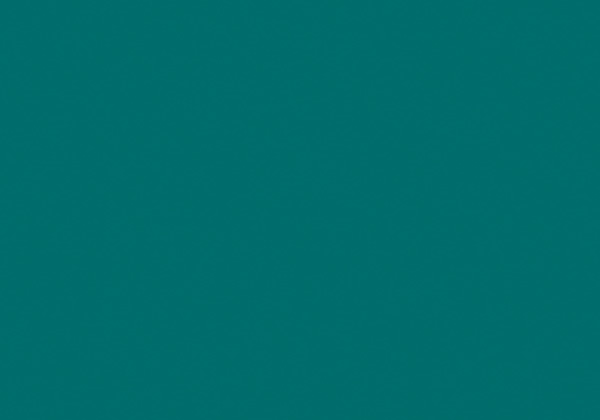 FLASHE ARMOR GREEN 125ML