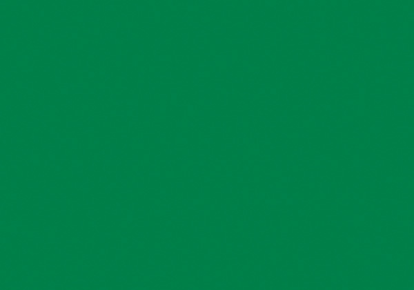 FLASHE CHROME GREEN 125ML