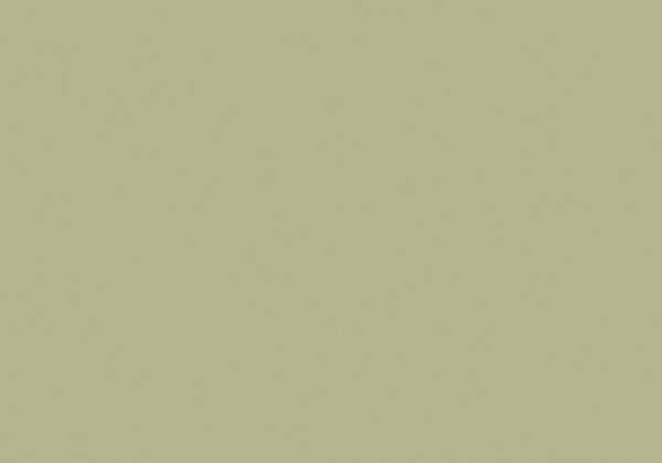 FLASHE LIGHT TERRE VERTE 125ML