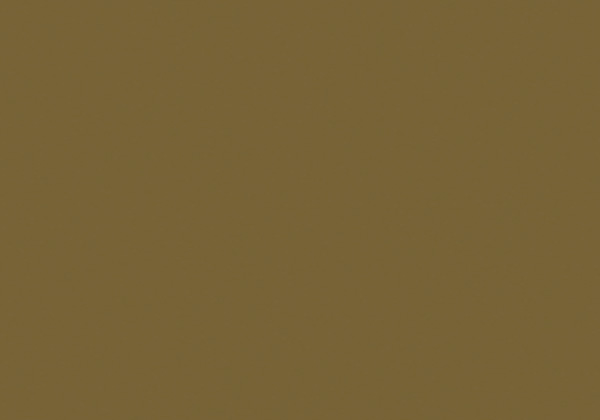 FLASHE BURNT UMBER 125ML