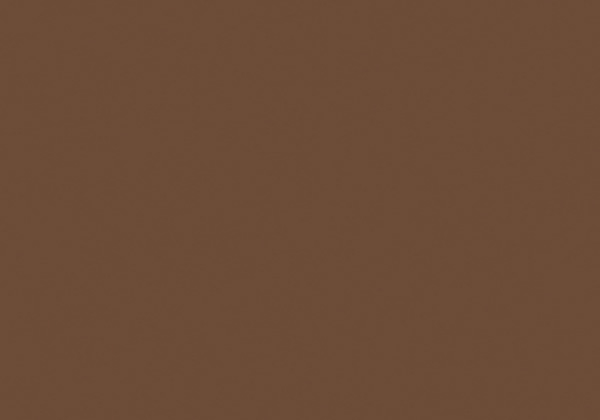 FLASHE RAW UMBER 125ML