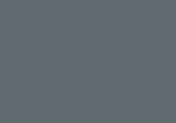 FLASHE PAYNES GREY 125ML