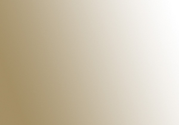 FLASHE LIGHT GOLD 125ML