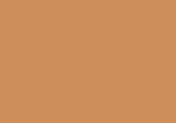 FLASHE COPPER 125ML