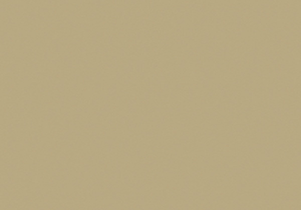 FLASHE BRONZE 125ML