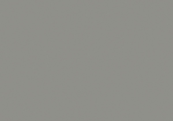 FLASHE NICKEL 125ML