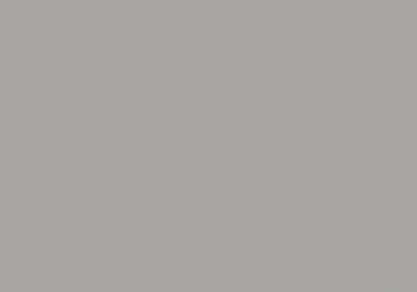 FLASHE SILVER 125ML