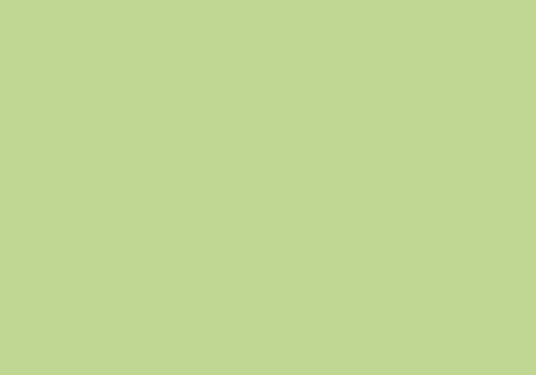 FLASHE FLUO YELLOW GREEN 125ML