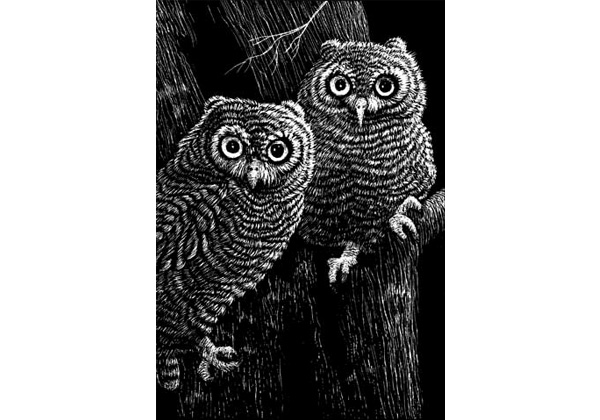 Scratch-Art Scratchboard Blk 11x14 12pk