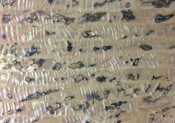 Abalone shell veneer - Green Light