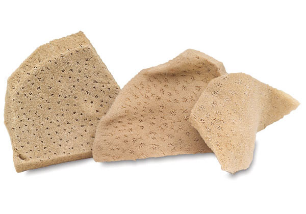 Sponges