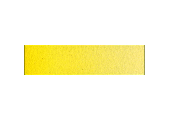 WN Prof WC HP Cadmium Yellow