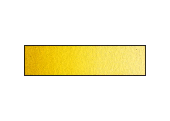 WN Prof WC HP Gold Ochre