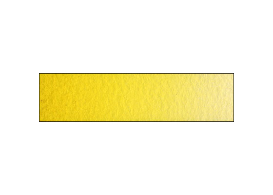 WN Prof WC HP Indian Yellow