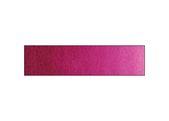 WN Prof WC HP Permanent Rose