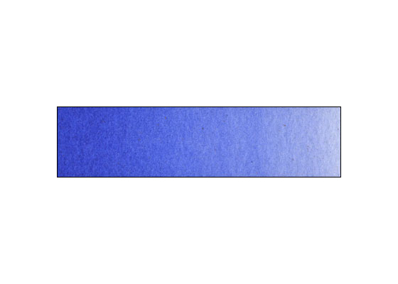 WN Prof WC HP Cobalt BlueDeep