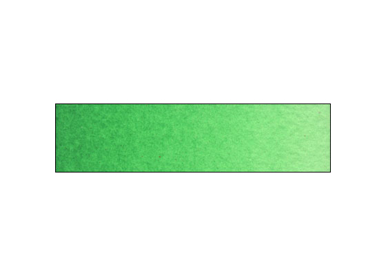 WN Prof WC HP Viridian