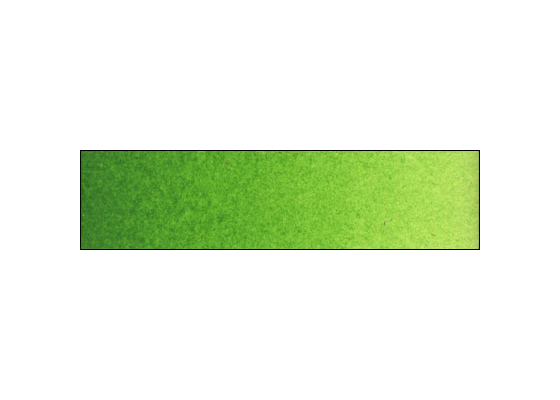 WN Prof WC HP Terre Verte
