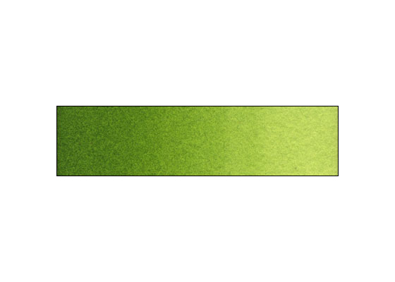 WN Prof WC HP Olive Green