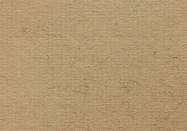 INGRES PASTEL BROWN 18.7X24.4