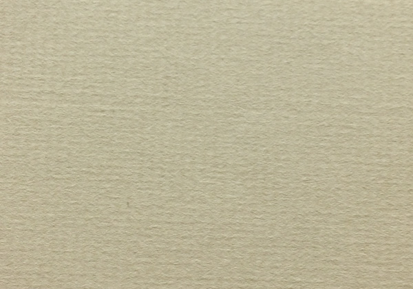 INGRES PASTEL GREY BROWN 18.7X24.4