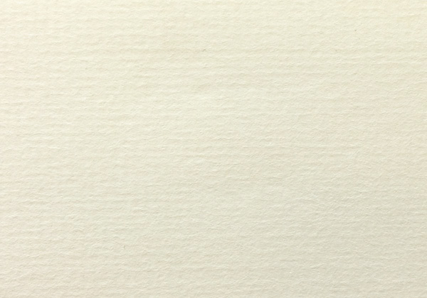INGRES PASTEL IVORY 18.7X24.4