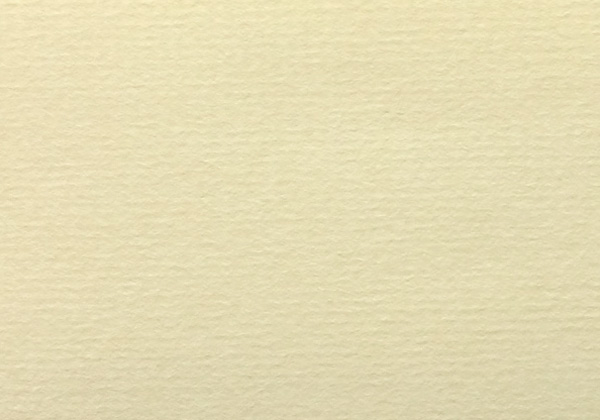 INGRES PASTELS YELLOWISH 18.7X24.4