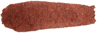 Burnt Sienna 15ml