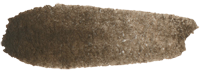Raw Umber 15ml