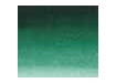 Sennelier FAWC Forest Green 10mL