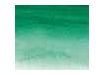 Sennelier FAWC Viridian 10mL